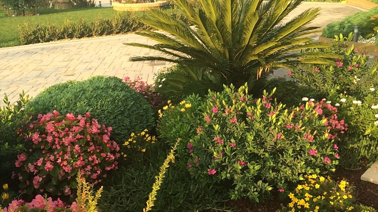 Photo of Outdoor in Cossignano