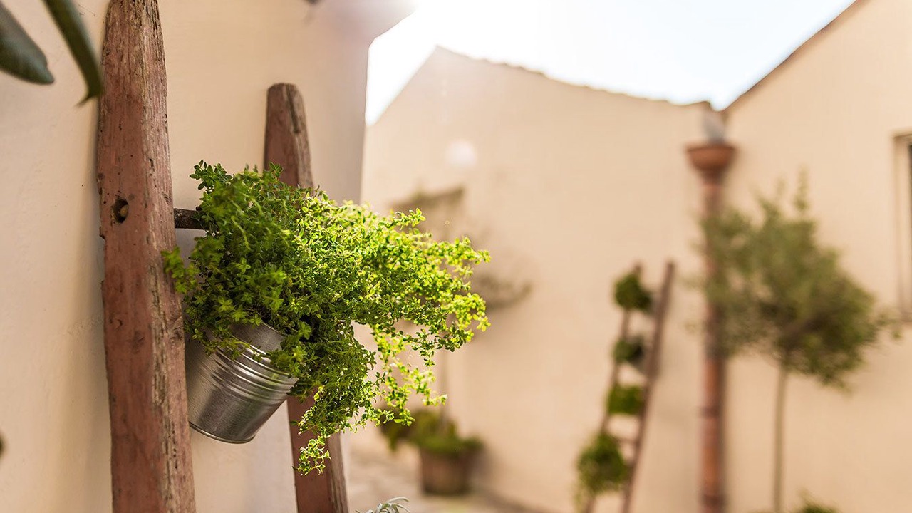 Photo of Outdoor in Bernalda