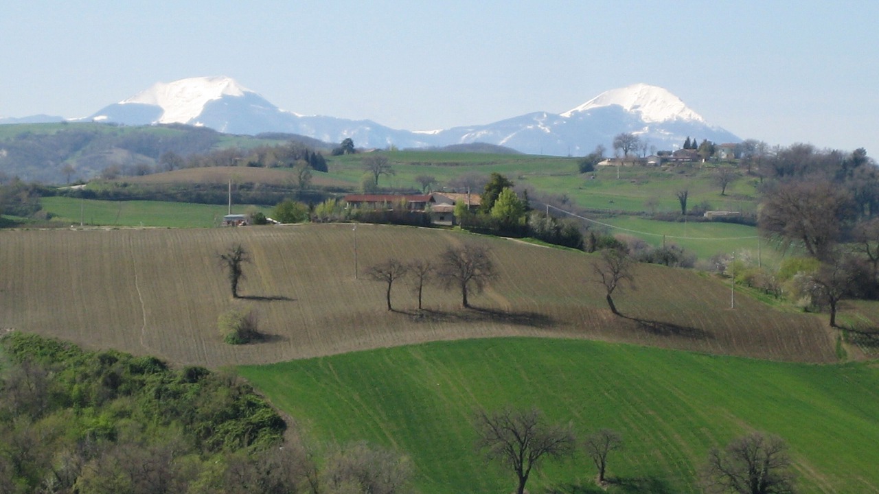 Photo of Others in Rupoli