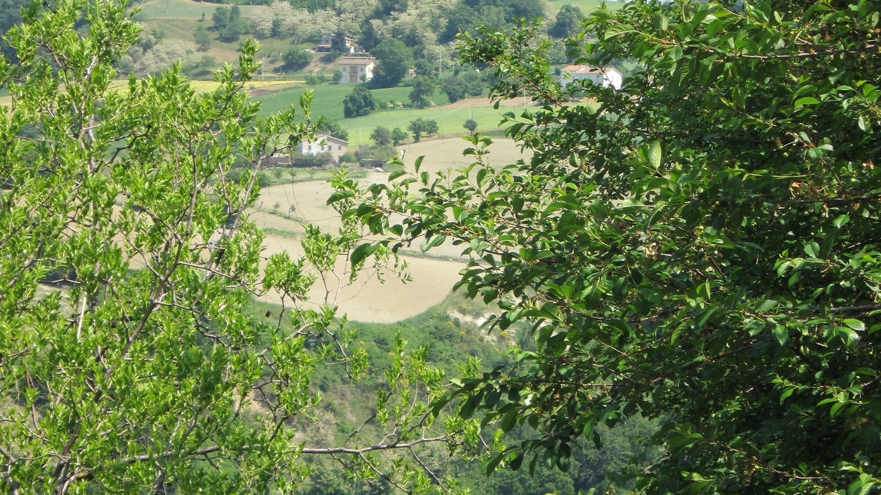 Photo of Others in Rupoli