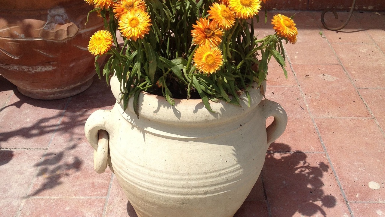 Photo of Outdoor in Briatico