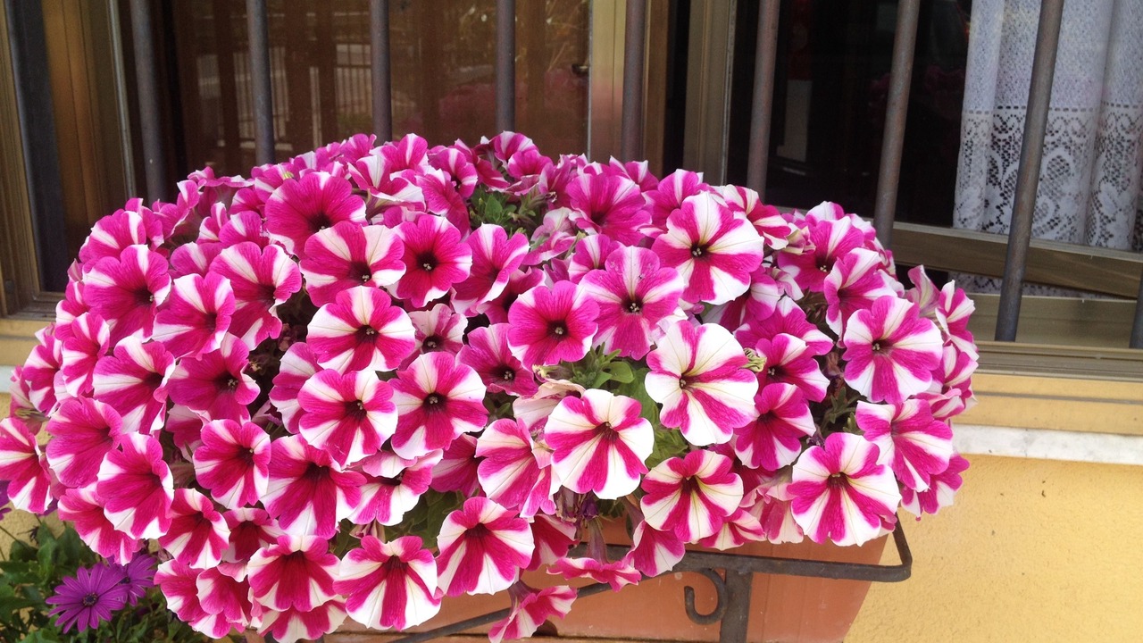 Photo of Outdoor in Briatico