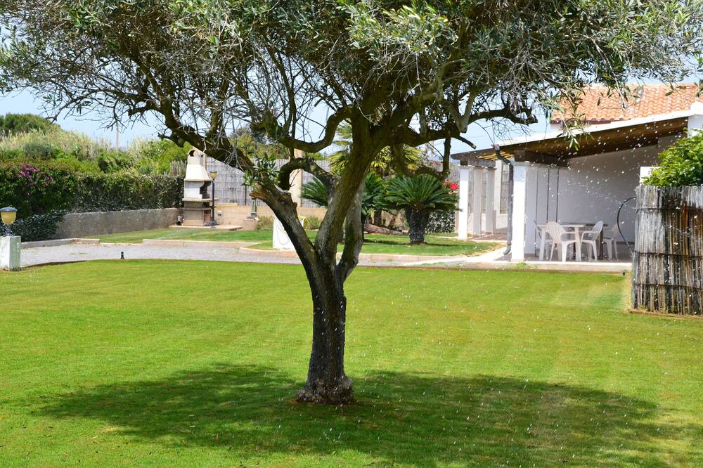 Photo of Outdoor in Spiaggia Grande
