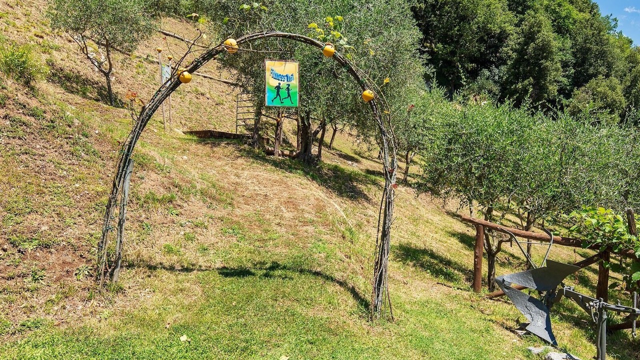 Photo of Outdoor in Molazzana