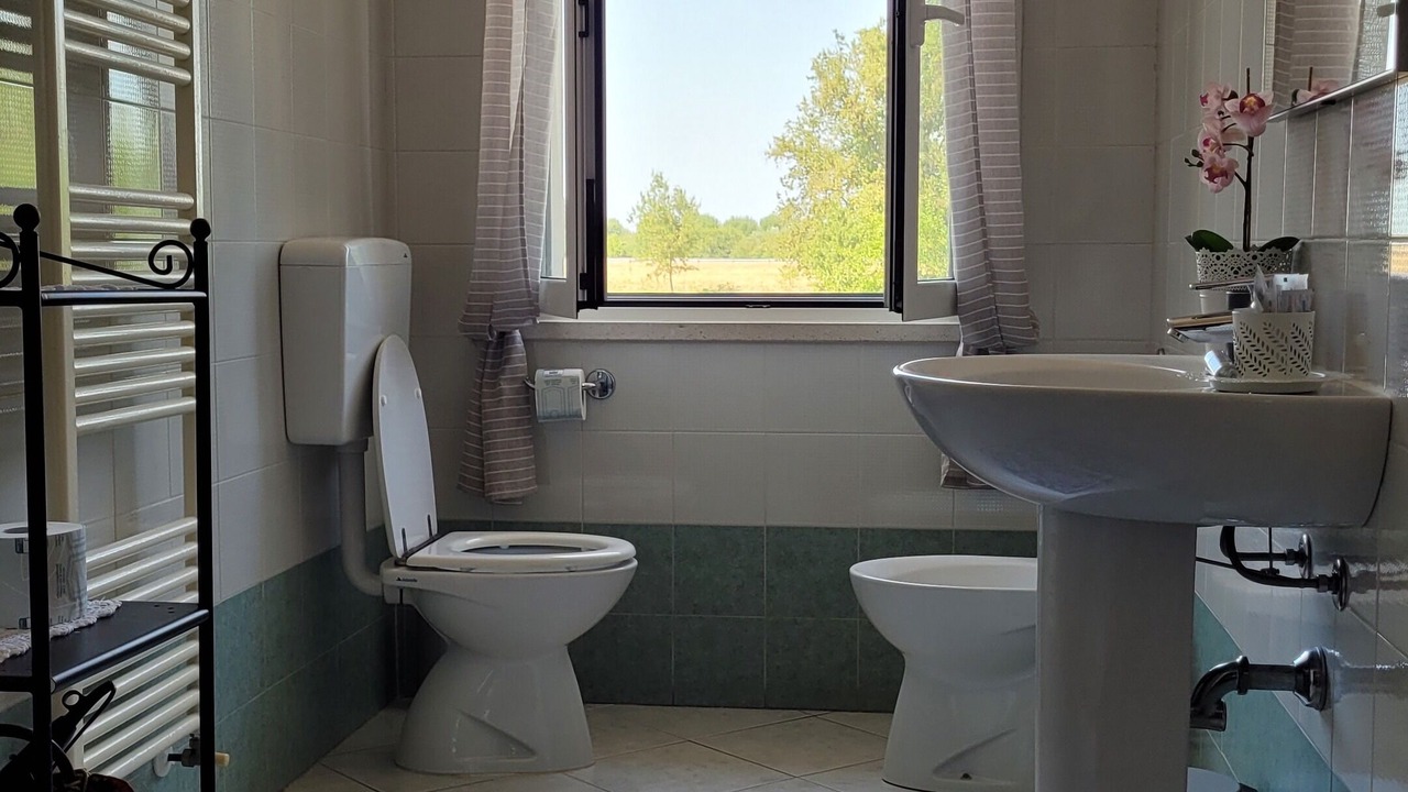 Photo of Bathroom in Colorno
