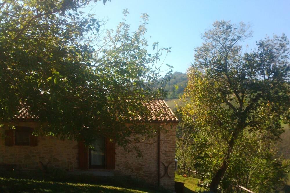 Photo of Outdoor in Sassocorvaro