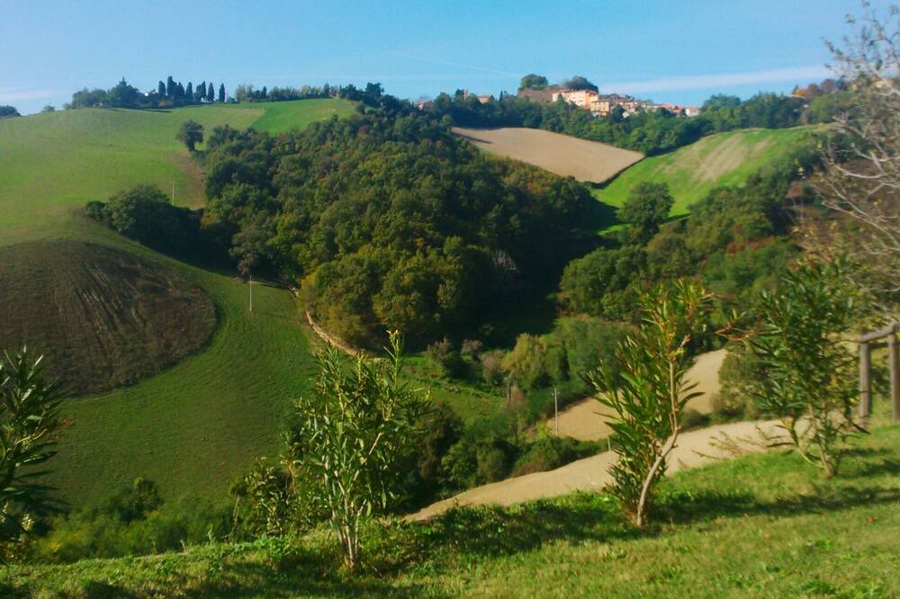 Photo of Outdoor in Sassocorvaro