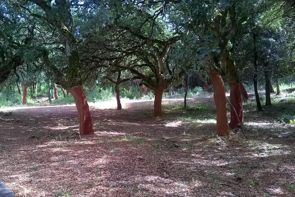 Photo of Outdoor in Mogoro