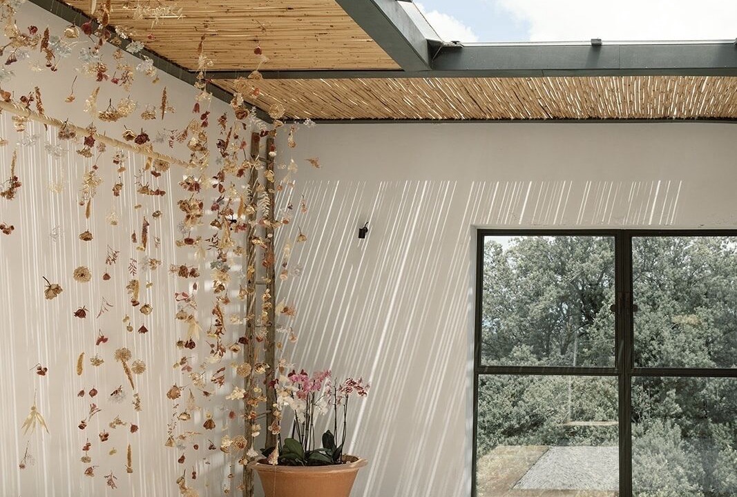 Photo of Outdoor in Toiano