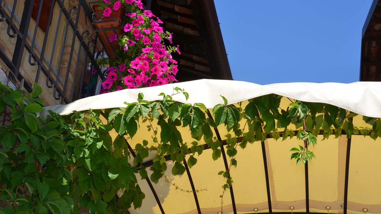 Photo of Outdoor in Tonco