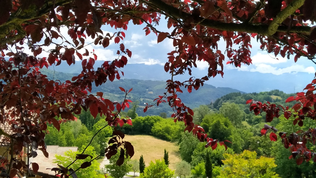 Photo of Outdoor in Camporgiano