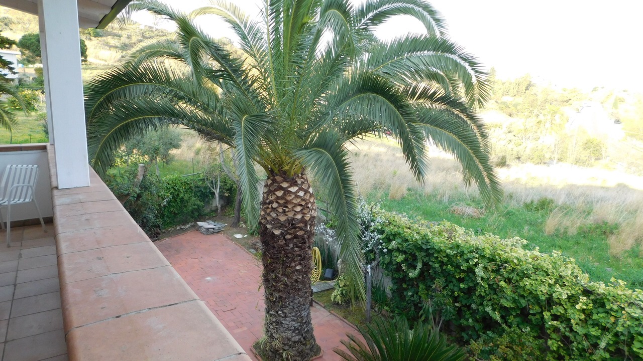 Photo of Outdoor in Calalunga-Pietragrande