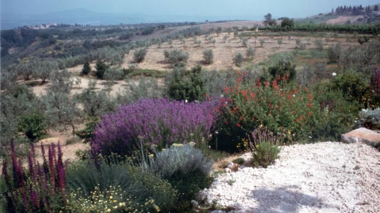 Photo of Outdoor in Baschi