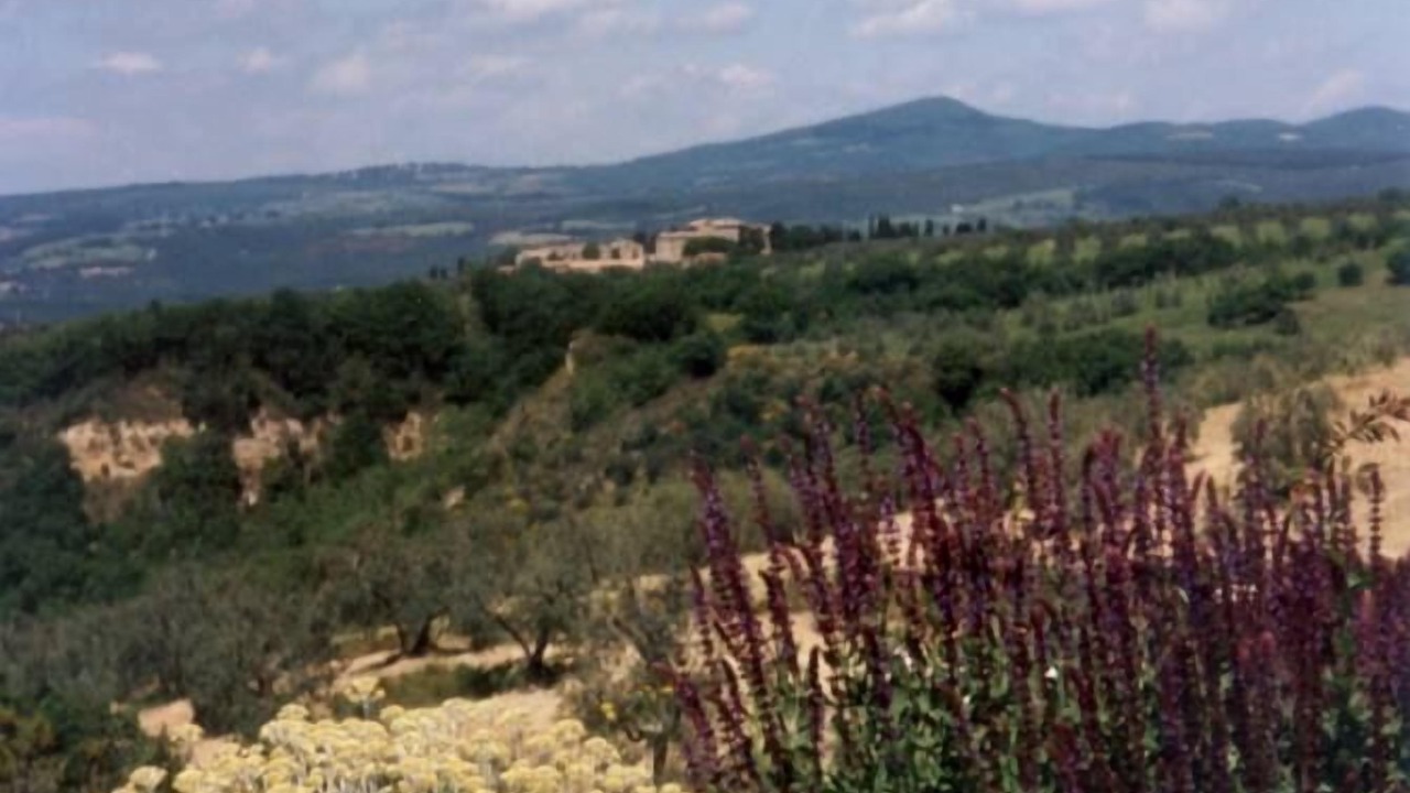 Photo of Outdoor in Baschi