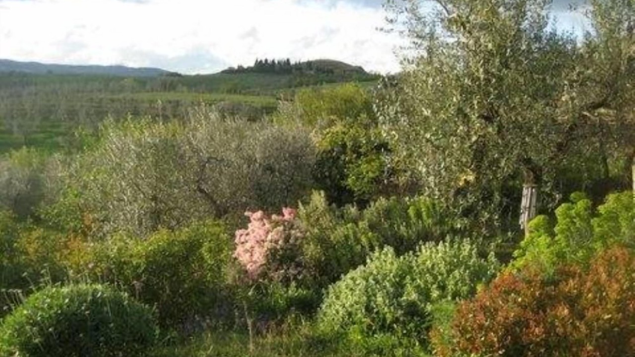Photo of Outdoor in Baschi