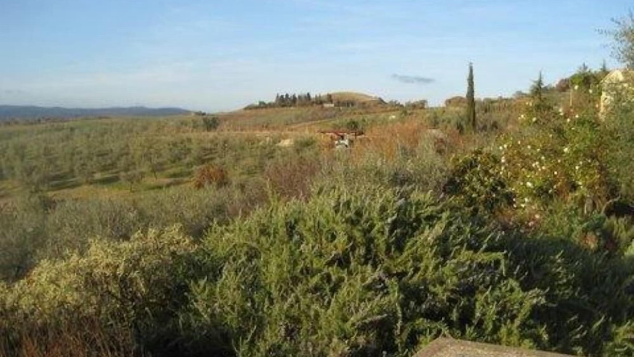 Photo of Others in Baschi