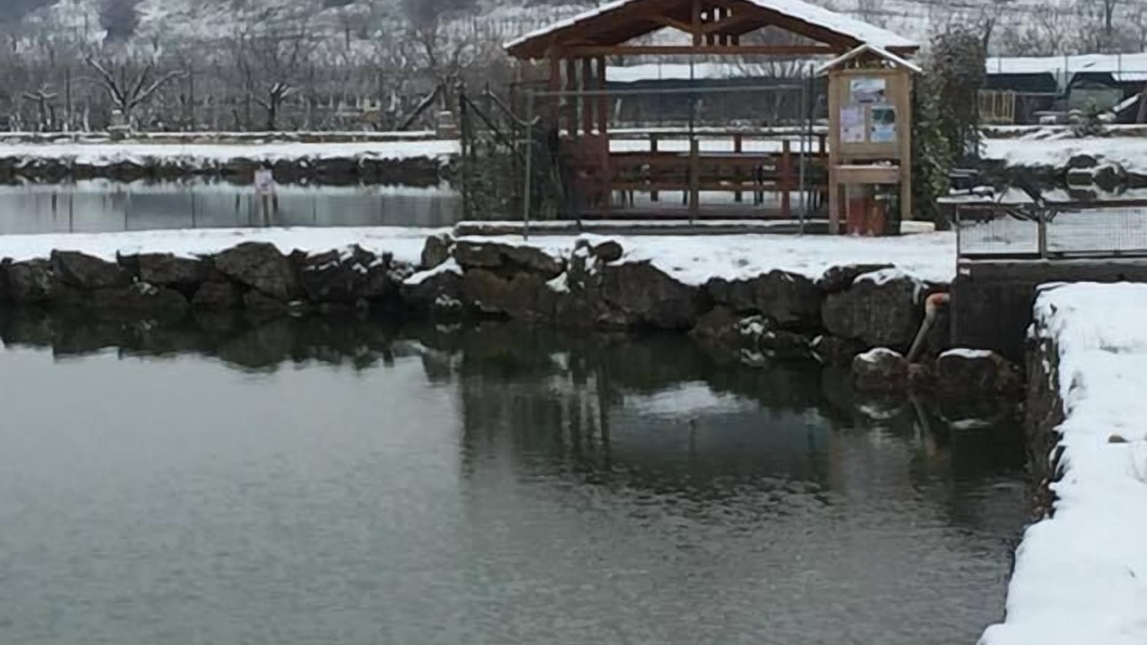 Photo of Outdoor in Montecchia di Crosara