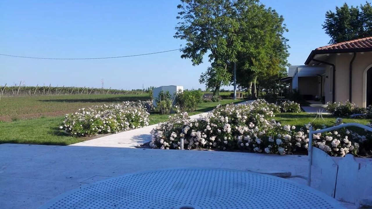 Photo of Outdoor in San Bonifacio