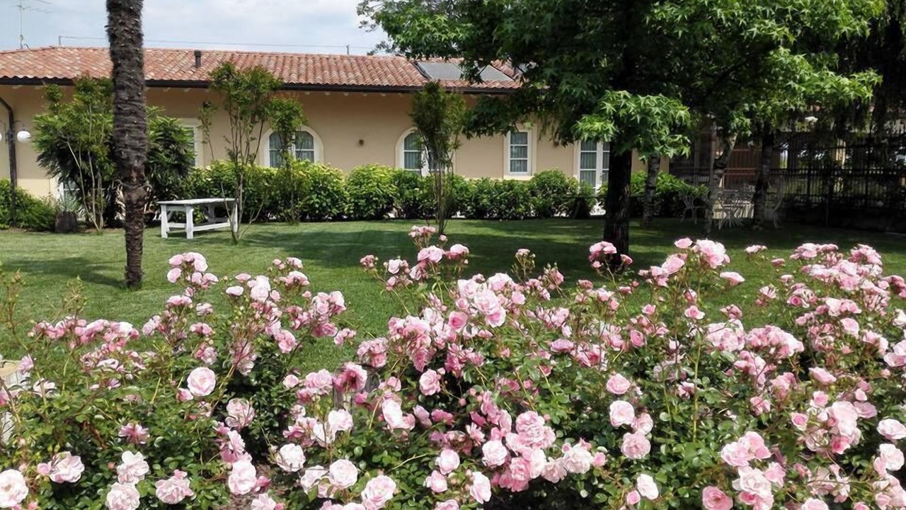 Photo of Outdoor in San Bonifacio