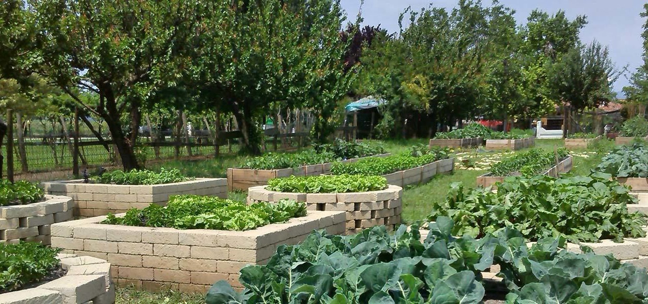 Photo of Outdoor in San Bonifacio