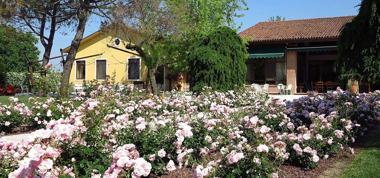 Photo of Outdoor in San Bonifacio