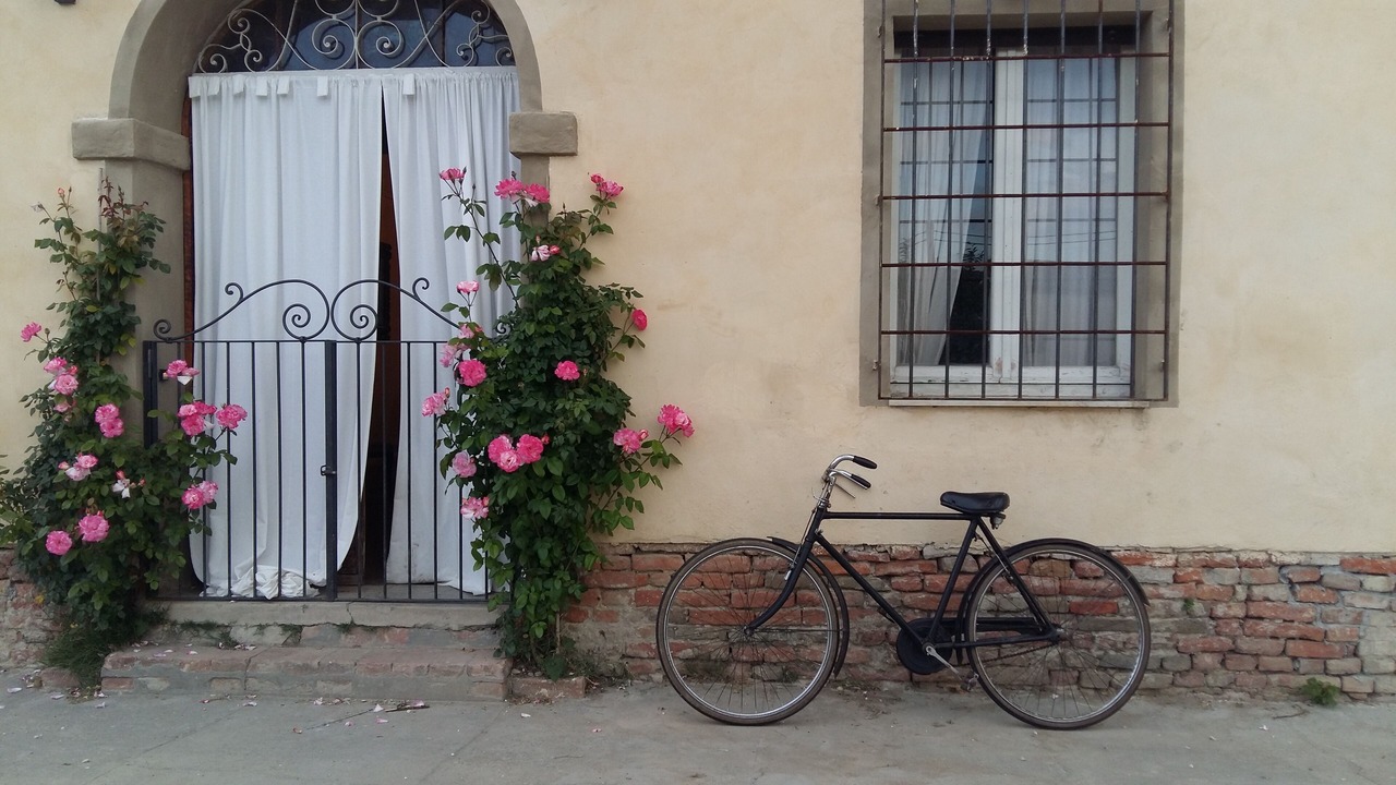 Photo of Outdoor in Boretto