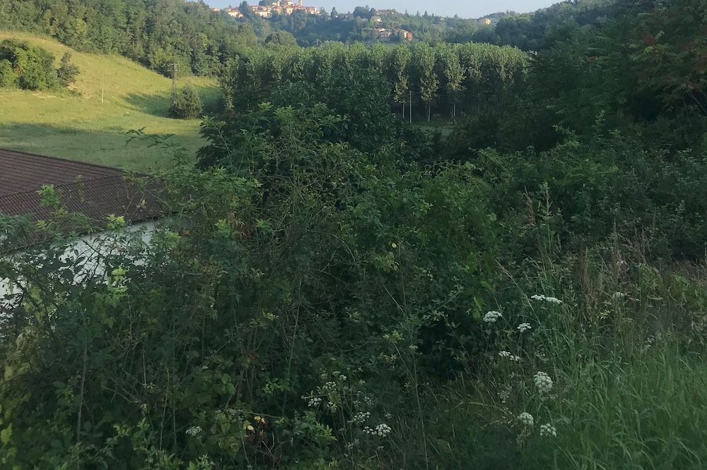 Photo of Outdoor in Carpeneto