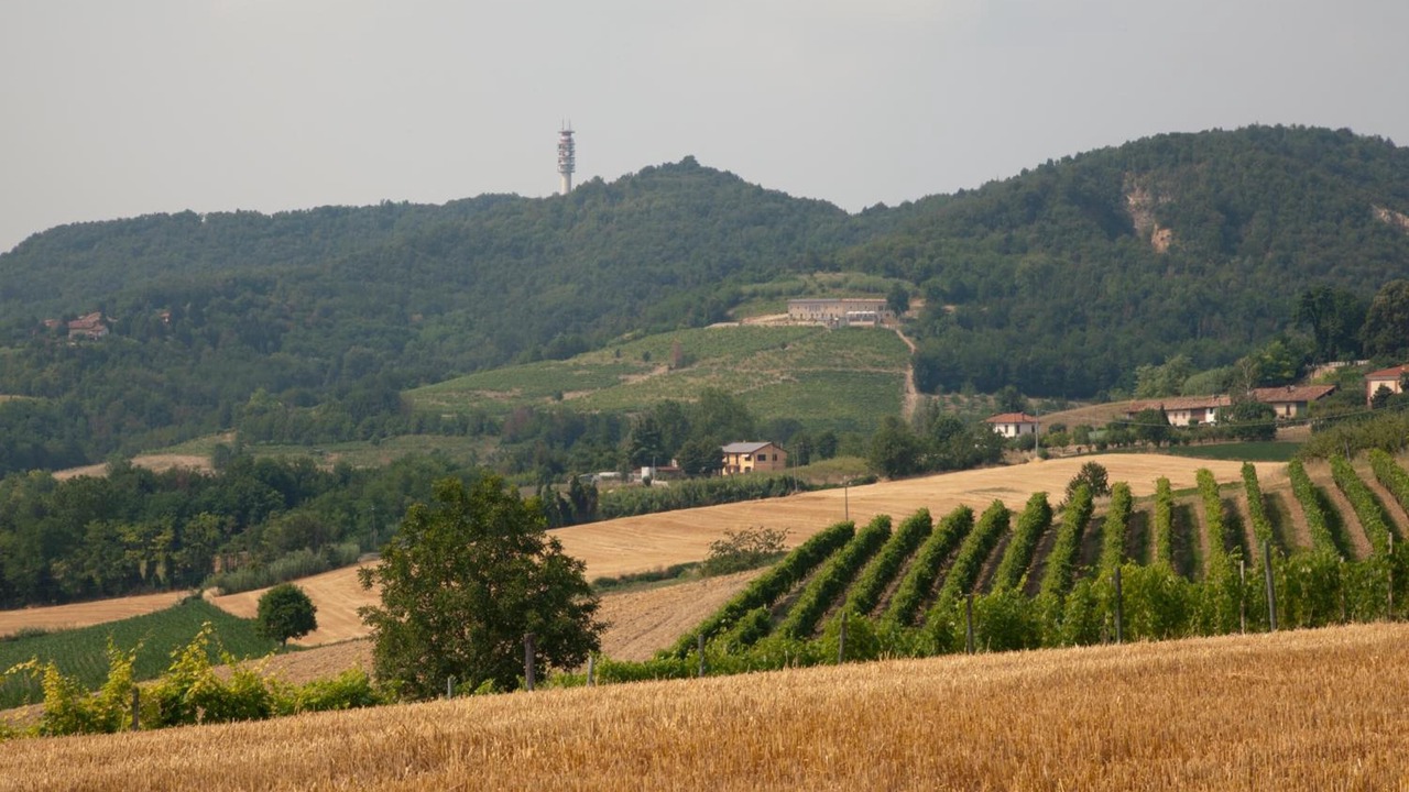Photo of Outdoor in Alfiano Natta
