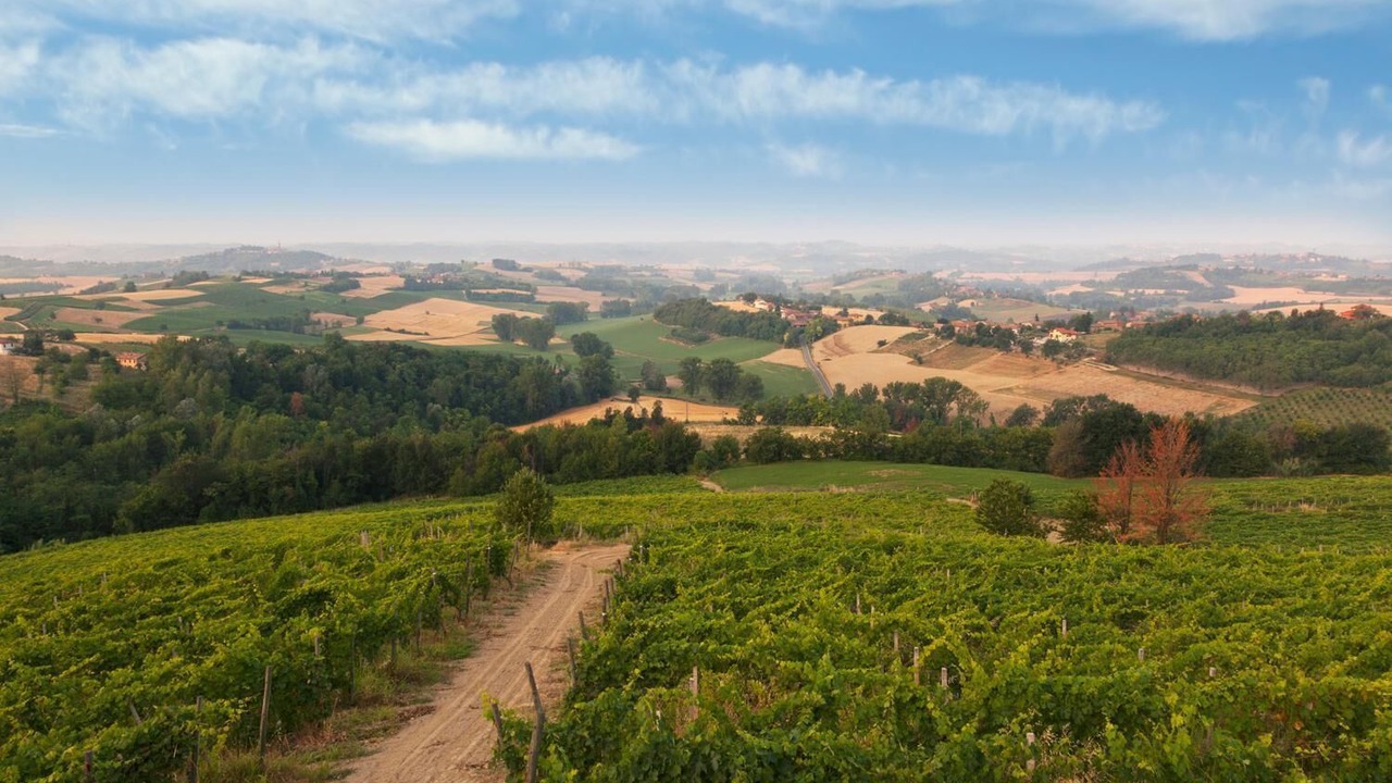Photo of Outdoor in Alfiano Natta