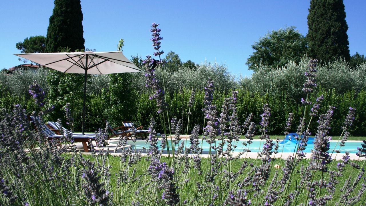 Photo of Outdoor in Alberoro