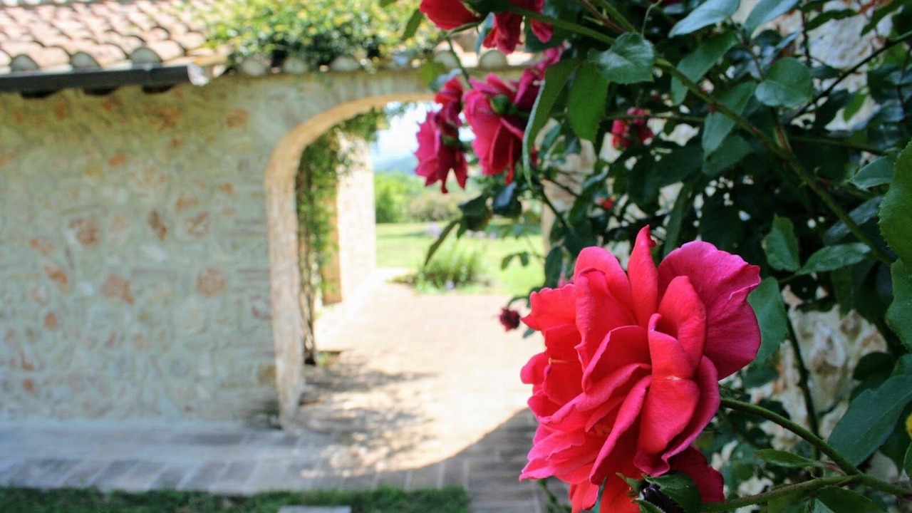 Photo of Outdoor in Mugnano in Teverina