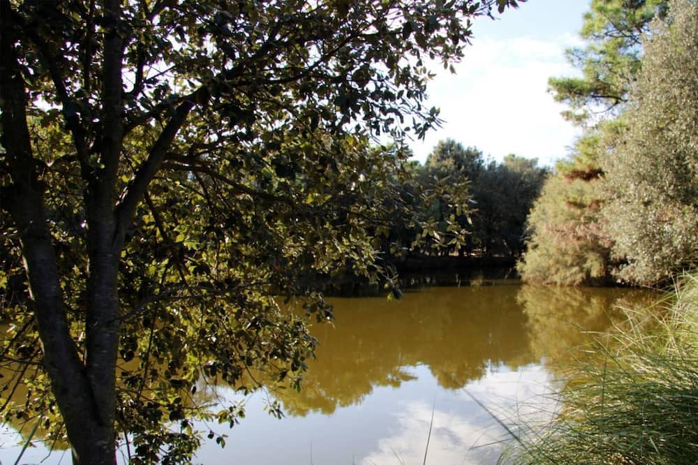 Photo of Outdoor in Lido di Pomposa