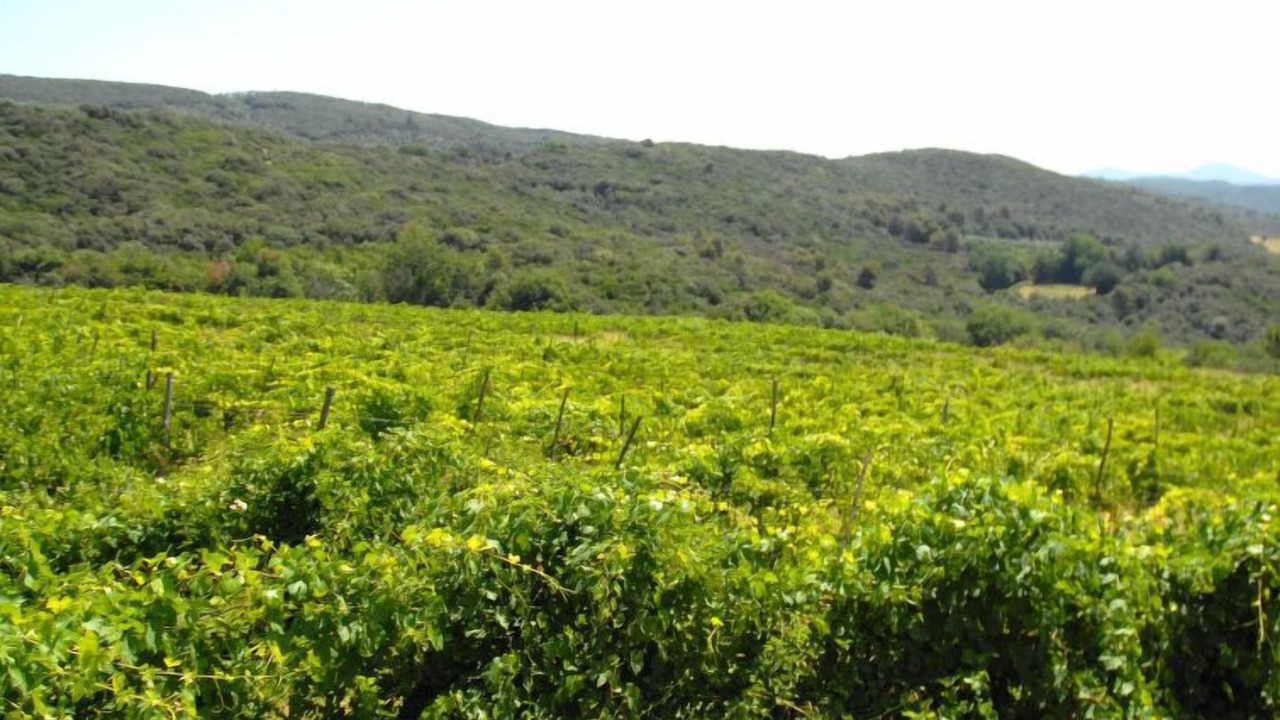Photo of Outdoor in Montoro