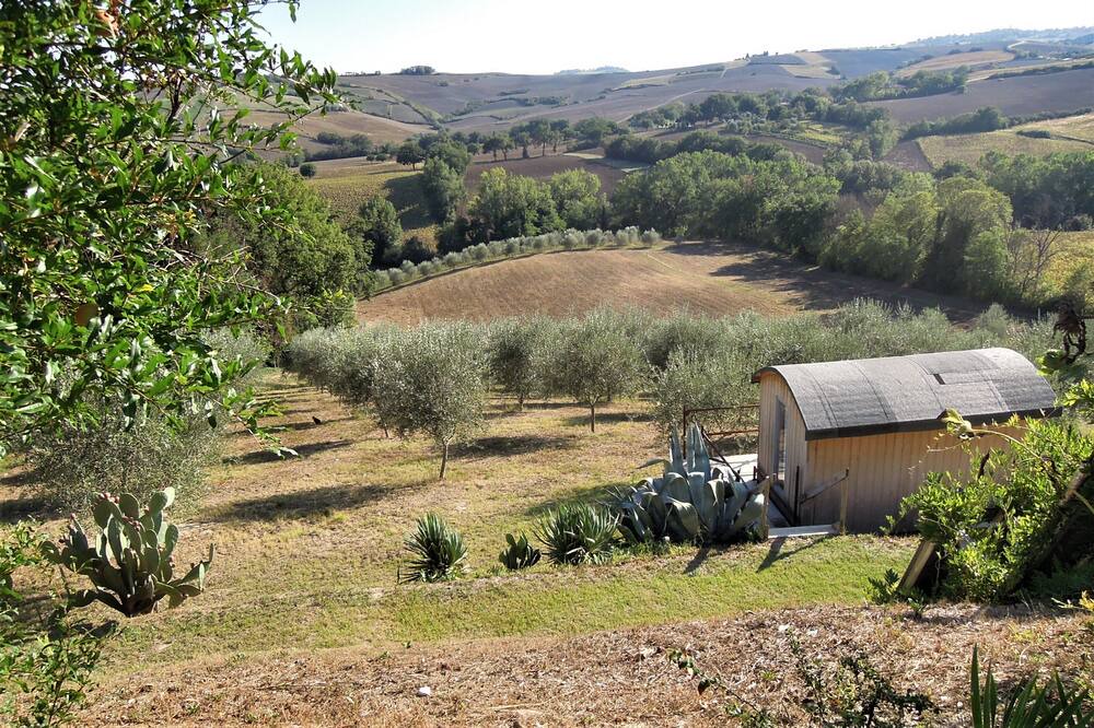 Photo of Outdoor in Barchi