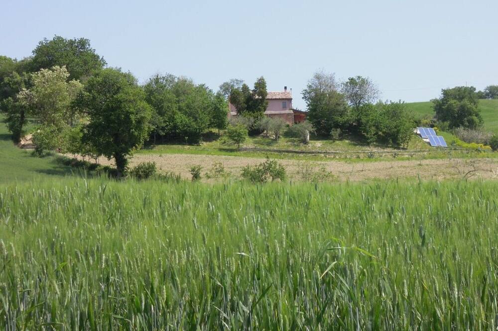 Photo of Outdoor in Barchi