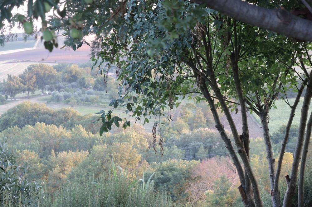Photo of Outdoor in Barchi