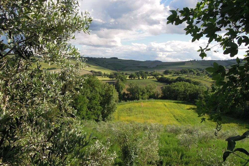 Photo of Outdoor in Barchi