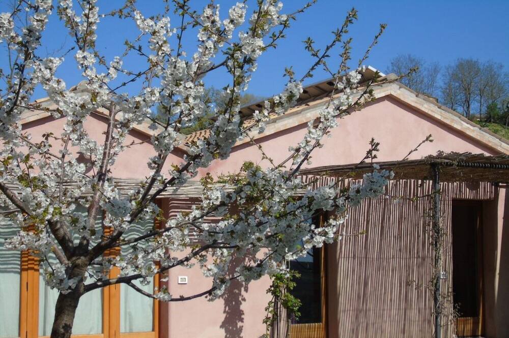 Photo of Outdoor in Barchi
