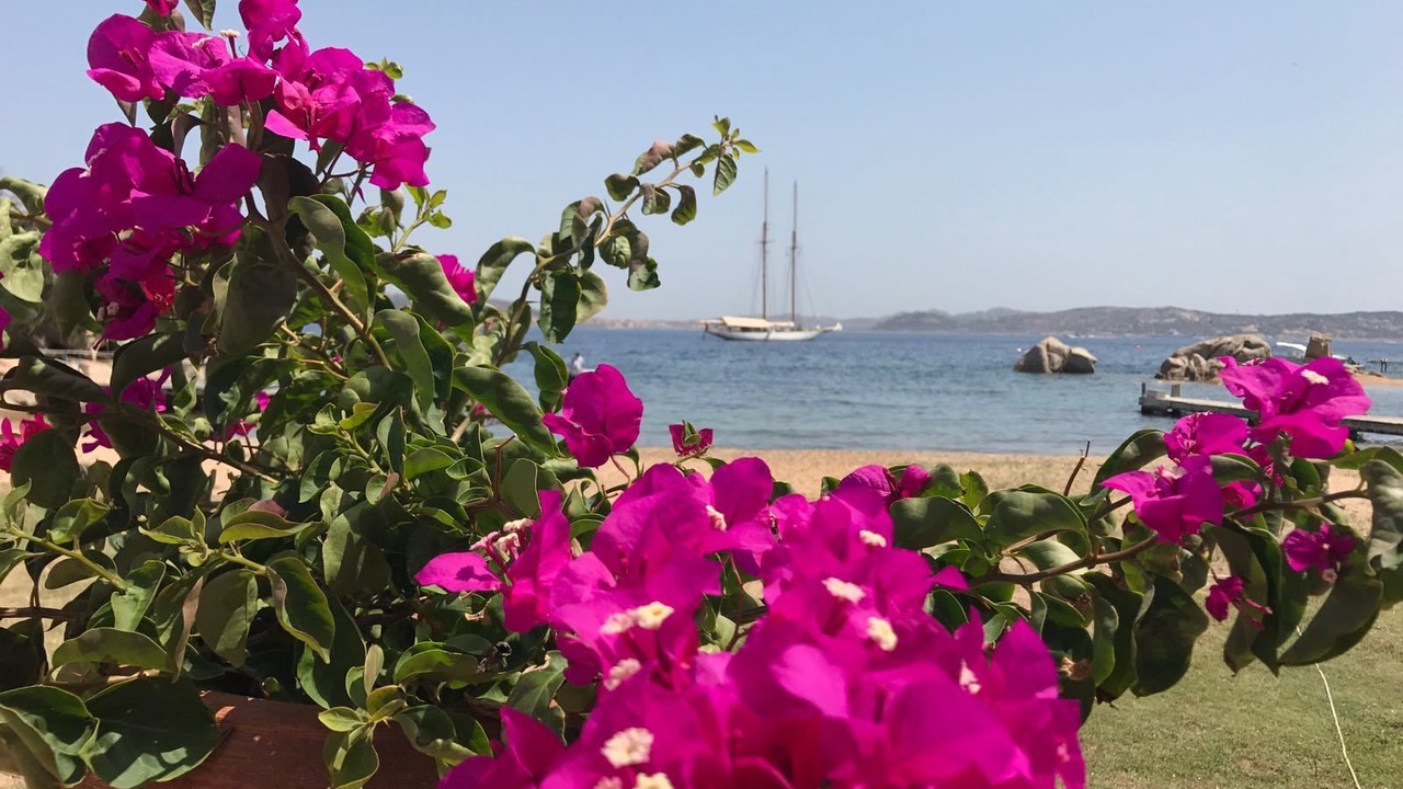 Photo of Others in Punta Sardegna