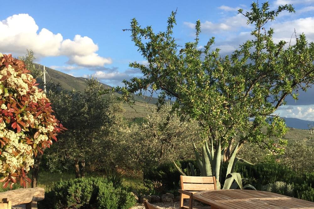 Photo of Outdoor in Trevi