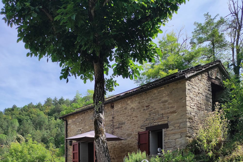Photo of Outdoor in Casola Valsenio