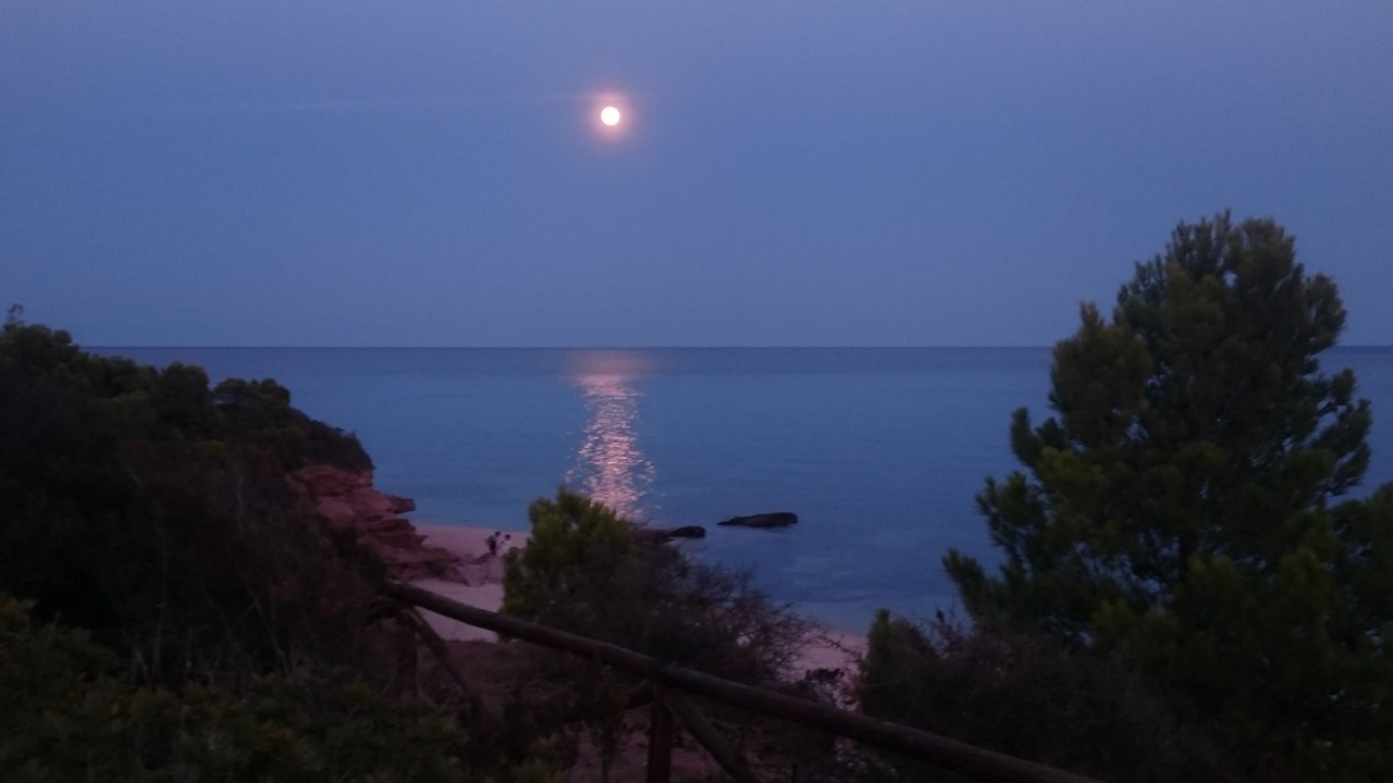 Photo of Others in Santa Margherita di Pula