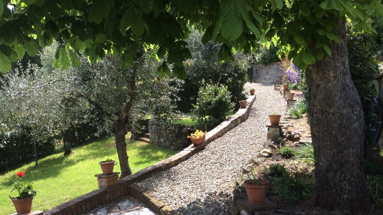 Photo of Outdoor in Orciatico