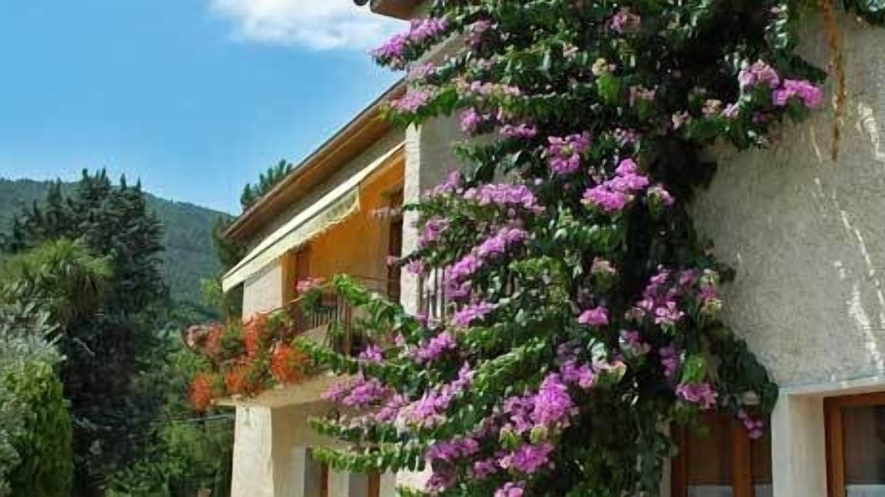 Photo of Outdoor in Precetto