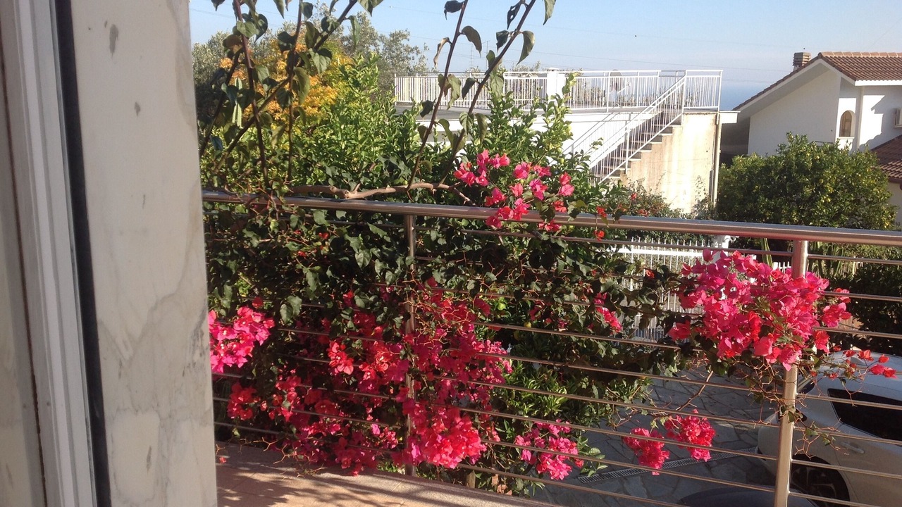 Photo of Outdoor in Boissano