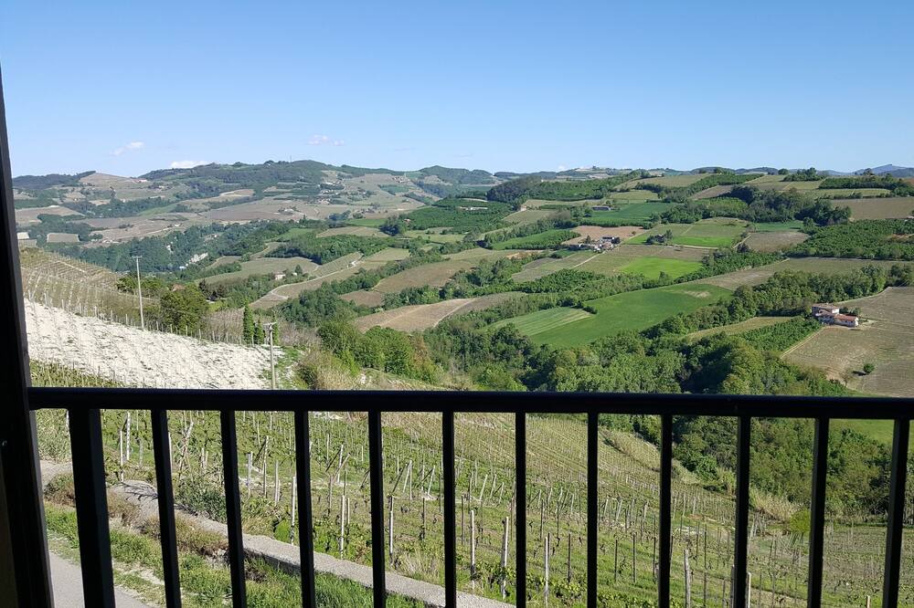 Photo of Patio Balcony in Mango