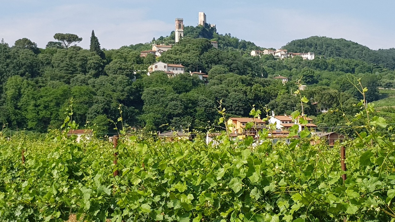 Photo of Outdoor in Brendola