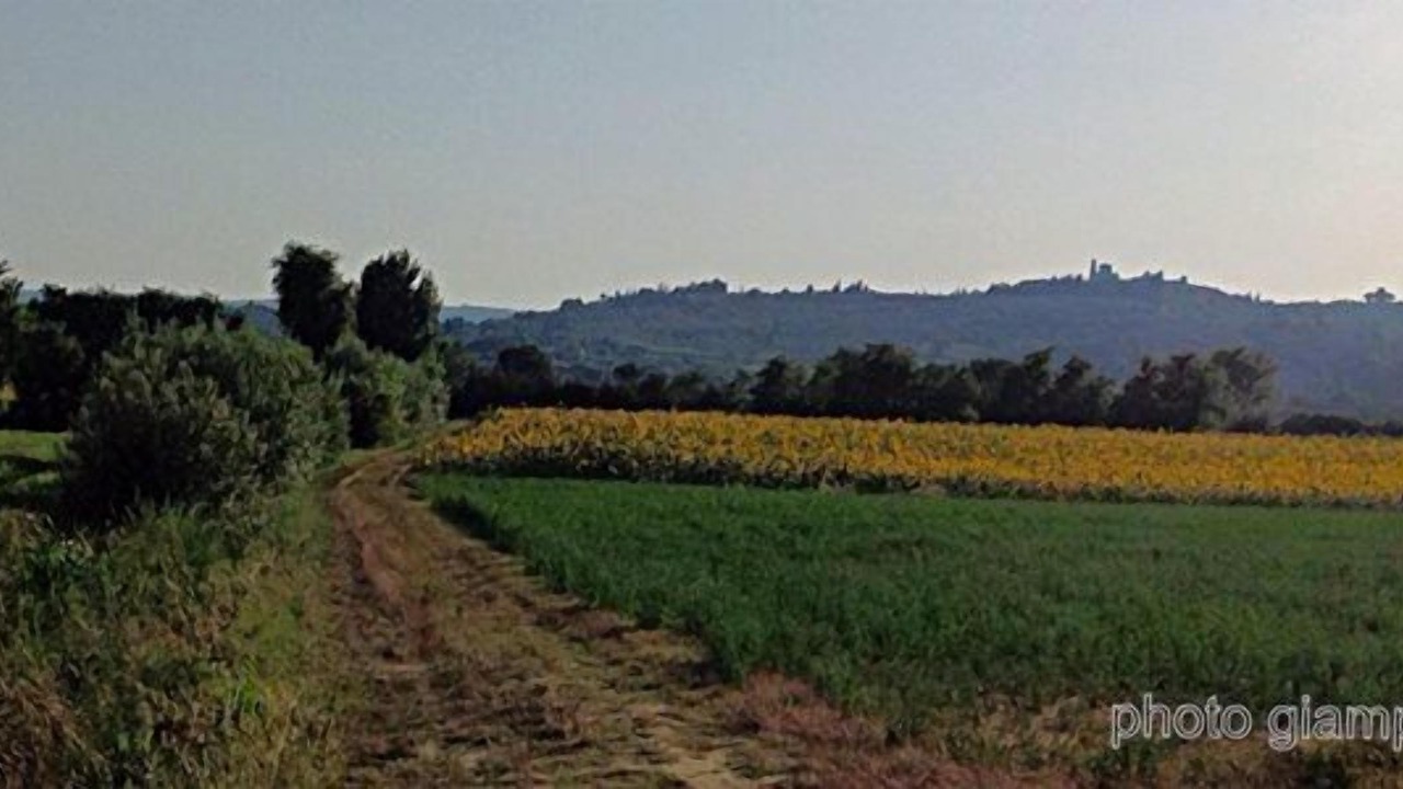 Photo of Outdoor in Marciano della Chiana