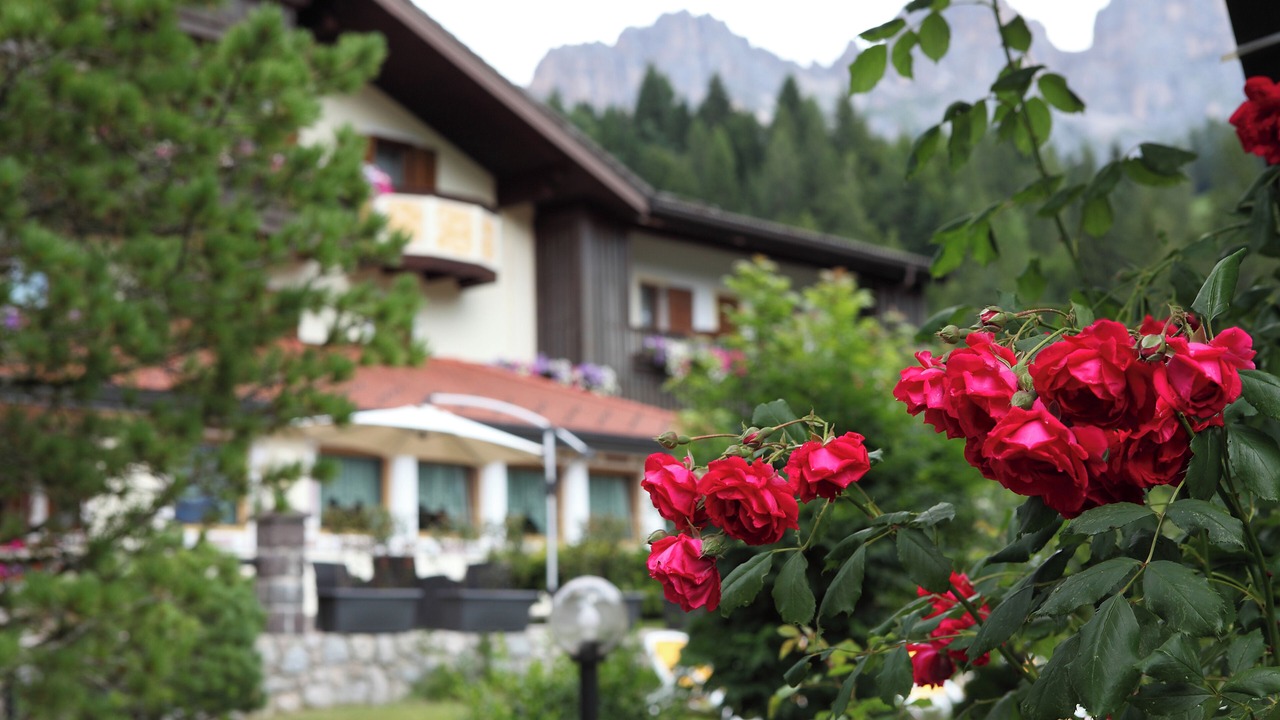 Photo of Outdoor in Pie Falcade