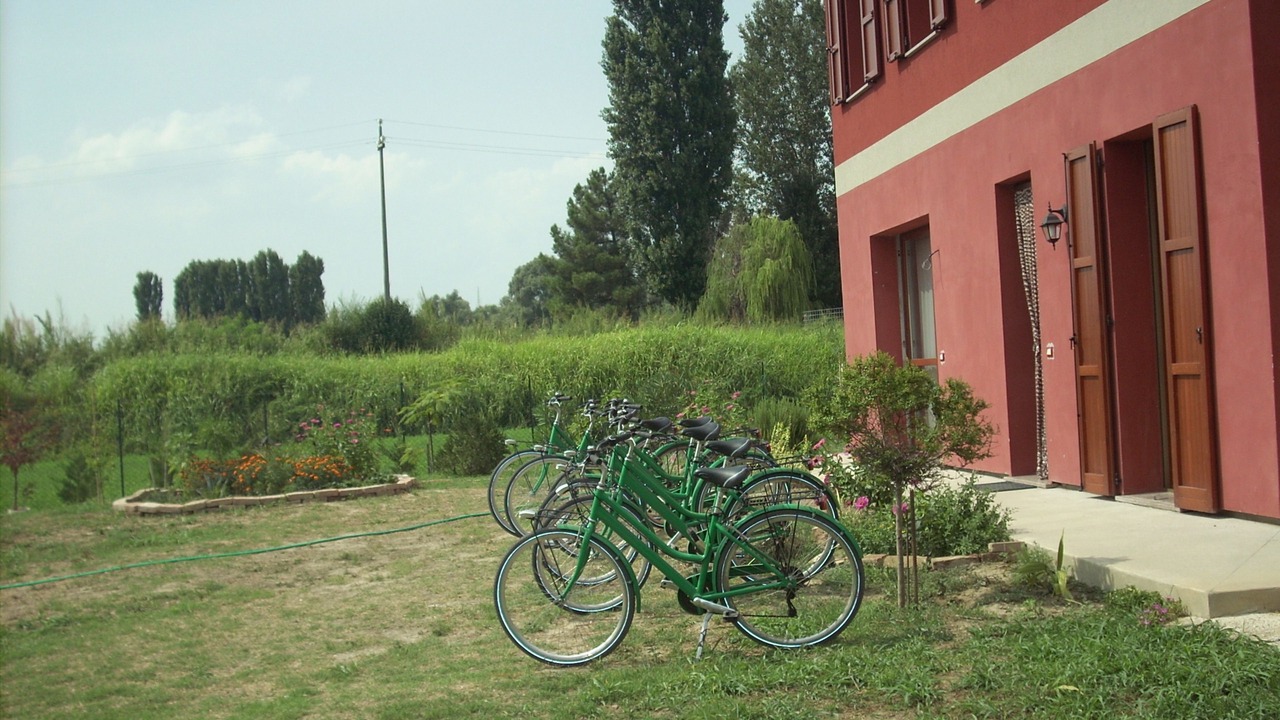 Photo of Others in Taglio di Po